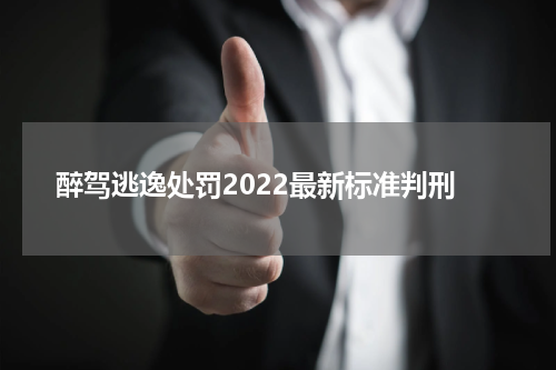 醉驾逃逸处罚2022最新标准判刑