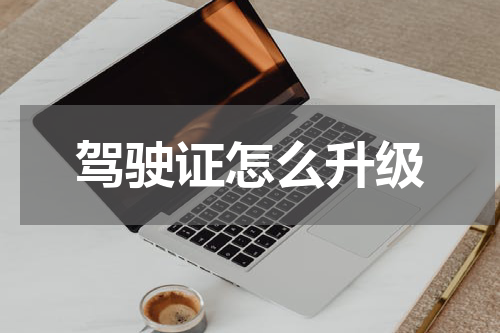 驾驶证怎么升级