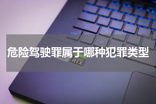 危险驾驶罪属于哪种犯罪类型