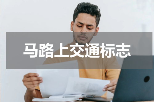 马路上交通标志