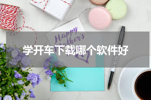 学开车下载哪个软件好