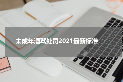 未成年酒驾处罚2021最新标准