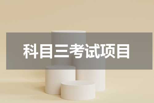 科目三考试项目