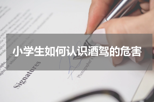 小学生如何认识酒驾的危害