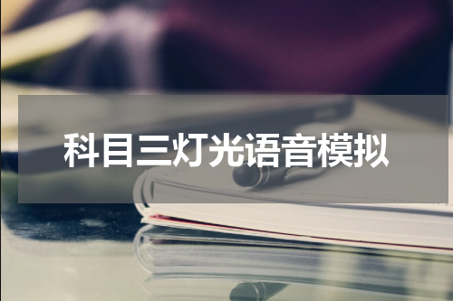 科目三灯光语音模拟