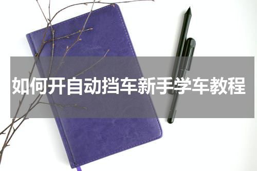如何开自动挡车新手学车教程