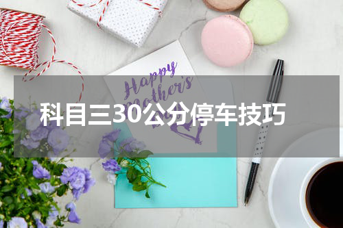 科目三30公分停车技巧