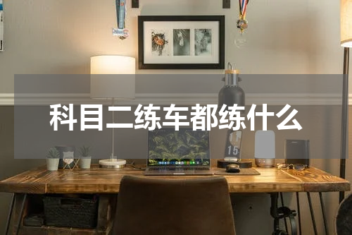 科目二练车都练什么