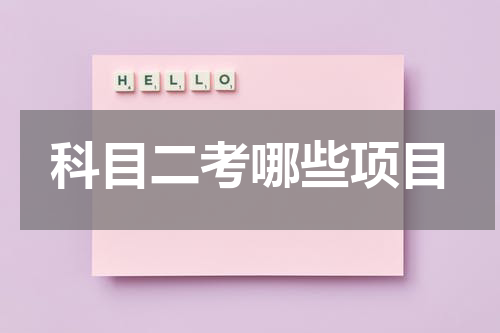 科目二考哪些项目