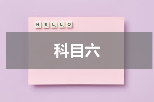 科目六