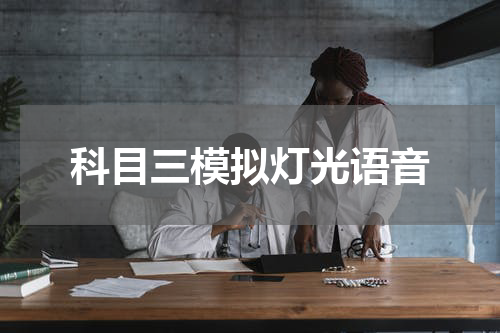 科目三模拟灯光语音
