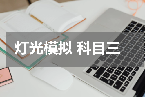 灯光模拟 科目三