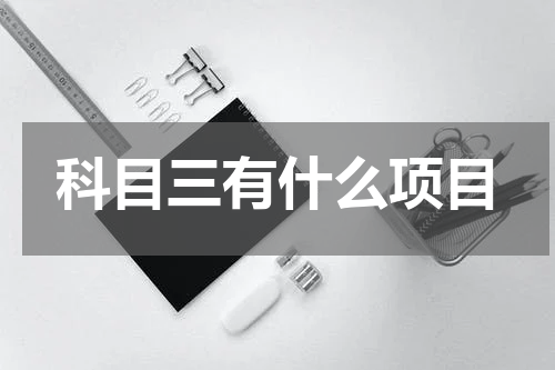 科目三有什么项目