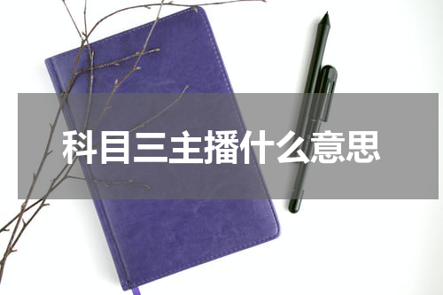 科目三主播什么意思