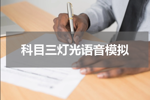 科目三灯光语音模拟