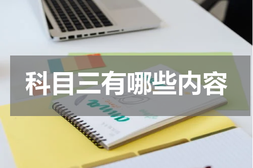科目三有哪些内容
