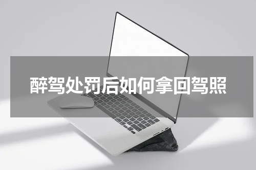 醉驾处罚后如何拿回驾照