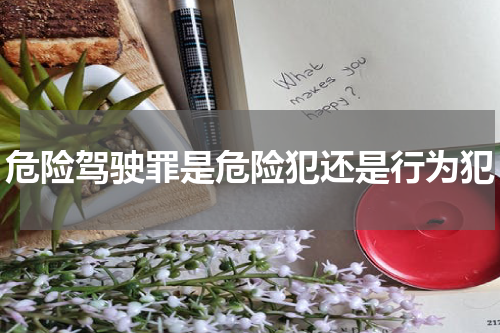 危险驾驶罪是危险犯还是行为犯