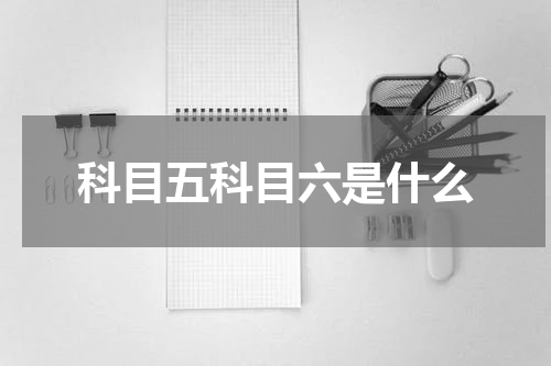 科目五科目六是什么