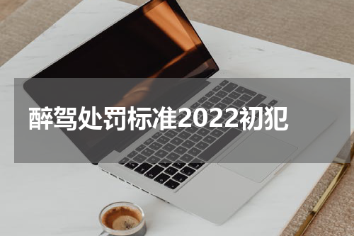 醉驾处罚标准2022初犯