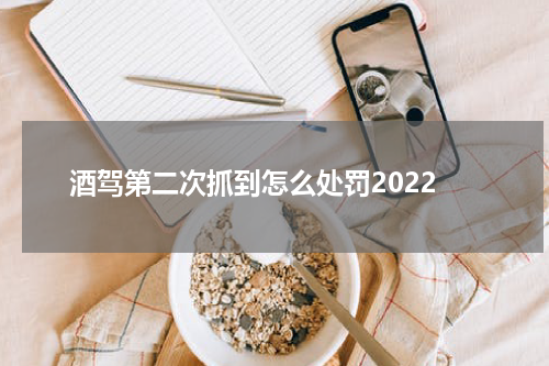 酒驾第二次抓到怎么处罚2022
