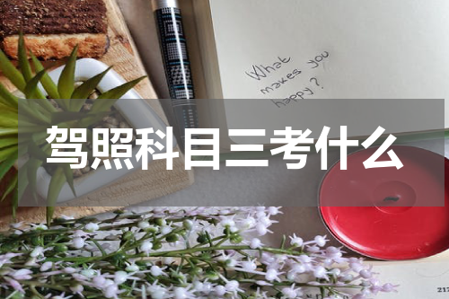 驾照科目三考什么