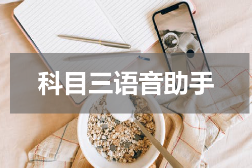 科目三语音助手