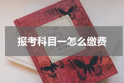 报考科目一怎么缴费