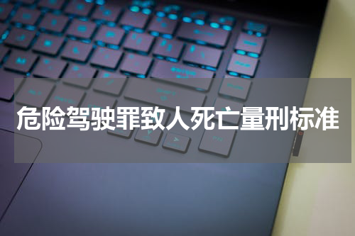 危险驾驶罪致人死亡量刑标准