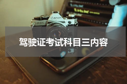 驾驶证考试科目三内容