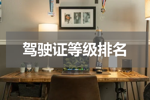 驾驶证等级排名