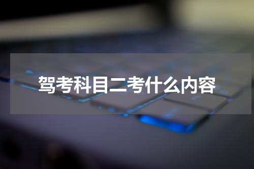 驾考科目二考什么内容