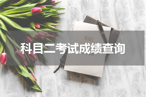 科目二考试成绩查询