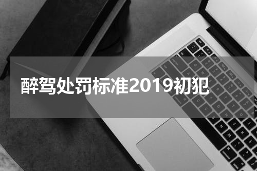 醉驾处罚标准2019初犯