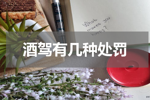 酒驾有几种处罚