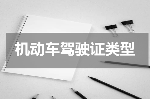机动车驾驶证类型