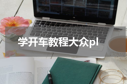 学开车教程大众pl