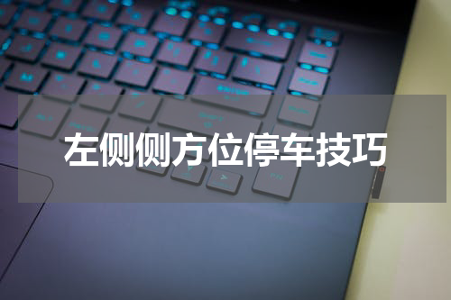 左侧侧方位停车技巧