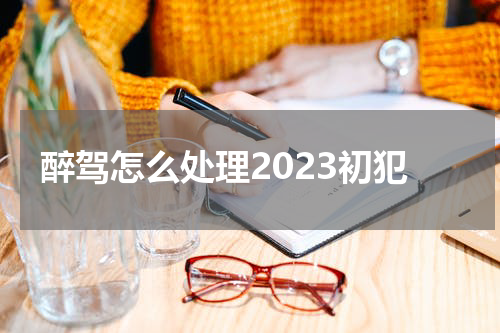 醉驾怎么处理2023初犯