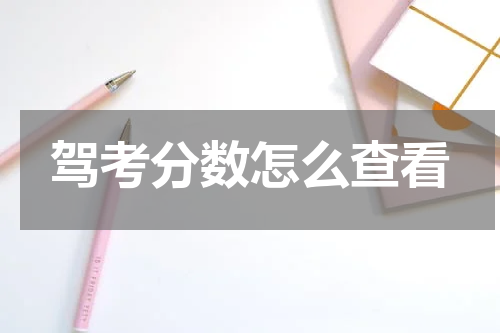 驾考分数怎么查看