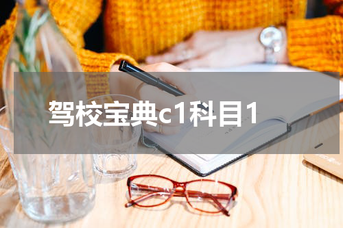 驾校宝典c1科目1