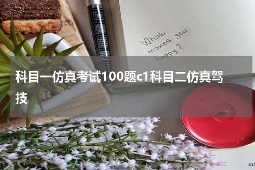 科目一仿真考试100题c1科目二仿真驾技