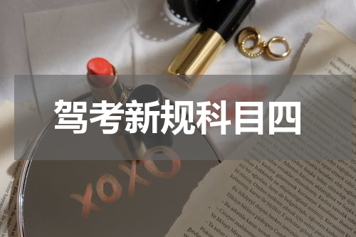驾考新规科目四