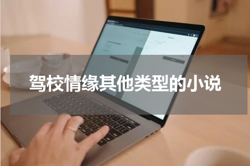 驾校情缘其他类型的小说