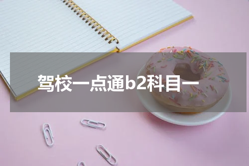 驾校一点通b2科目一