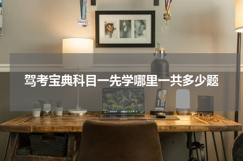 驾考宝典科目一先学哪里一共多少题