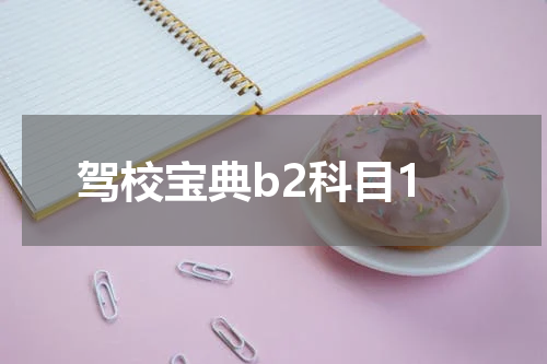 驾校宝典b2科目1