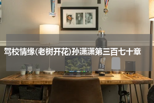驾校情缘(老树开花)孙潇潇第三百七十章