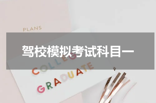 驾校模拟考试科目一
