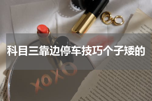 科目三靠边停车技巧个子矮的